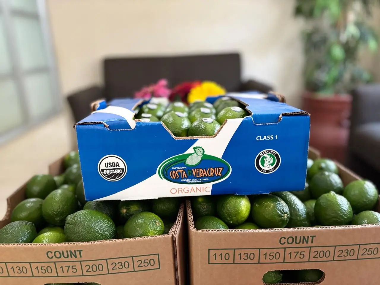 Caja de limón persa 40 libras convencional